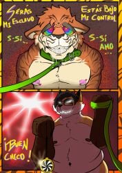 2025 absurd_res bodily_fluids canid canine clock collar comic dominant dominant_male duo felid first_person_view forced fox hi_res hypnosis hypnotic_eyes looking_at_viewer male male_only mammal mind_control nipple_piercing nipples overweight pantherine piercing pocketwatch ryuzka saliva simple_background smile spanish_text stripes text tiger watch