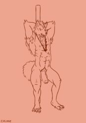 2017 abs animated anthro armpit_hair armpits balls canine chunie claws dancing fluffy fluffy_tail fur hair hi_res humanoid_penis male male_only mammal markings muscular muscular_male nipples nude open_mouth pecs penis pole pole_dancing simple_background toe_claws toes uncut wolf