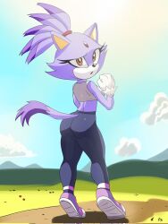 blaze the cat from sonic (series) by soranygy