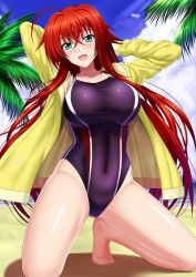 rias gremory from high school dxd by shibata rai