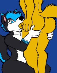 loki the husky fan art