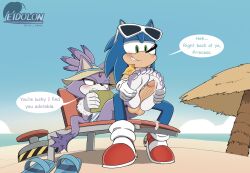 blaze the cat from sega by arts eidolon