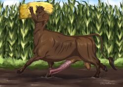 animal_genitalia animal_penis balls big_penis bovid bovid_taur bovine bovine_taur brown_body cattle cattle_taur corn cornfield dirt equine_genitalia equine_penis erection flared_penis food genitals hay hi_res hooves horn huge_cock lykostherium male male_taur mammal mammal_taur medial_ring mud penis plant sheath side_view sky solo taur walking