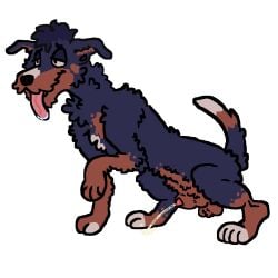 animal_genitalia animated blue_body blue_fur bodily_fluids breath canid canine canis crouching curly_hair domestic_dog drooling feral fur genital_fluids genitals hair hi_res loop male male_only mammal mastiff molosser panting peeing peeing_on_ground poodle red_body red_fur rottweiler roux_(shadyhouse) saliva shadyhouse solo urine urine_on_ground white_body white_fur