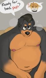 3:5 5_fingers absurd_res age_difference anthro bed bedroom_eyes belly big_belly black_body black_fur black_hair black_nose blush brown_body brown_fur canid canine canis chuck_(p_rindustries) daddy_kink dialogue dobermann domestic_cat domestic_dog dominant exclamation_point felid feline felis fingers fur furniture genitals hair hi_res looking_offscreen male male/male mammal mullet narrowed_eyes nipples on_bed p_rindustries penis pink_nose pinscher red_text seductive sitting sitting_on_bed size_difference slightly_chubby steam striped_body striped_fur stripes submissive tan_body tan_fur text whisker_spots white_body white_fur will_(p_rindustries)
