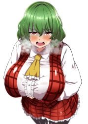 kazami yuuka from touhou by urao2sei