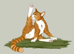 absurd_res animal_genitalia balls cheek_tuft cleaning closed_eyes digital_drawing_(artwork) digital_media_(artwork) domestic_cat duo facial_tuft felid feline feline_sheath felis feral fluffy fully_sheathed fur genitals grass hi_res inner_ear_fluff licking male mammal nature on_ground orange_body orange_fur outside pawpads paws plant pose presenting quadruped relaxing self_cleaning self_lick sheath signature simple_background spread_legs spreading stretching striped_body striped_fur stripes tongue tuft whiskers white_body white_fur whitecat