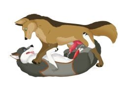 after_oral animal_genitalia animal_penis balls bodily_fluids canid canine canine_genitalia canine_penis canis cheek_tuft cum cumshot digital_drawing_(artwork) digital_media_(artwork) domestic_dog duo ejaculation erection eye_contact facial_tuft fangs feral feral_on_feral fur genital_fluids genitals grey_body grey_fur intraspecies knot looking_at_another lying male male/male mammal on_back on_top open_mouth orgasm penis pinned pinned_to_ground playful quadruped sheath signature tail tan_body tan_fur teeth tuft white_body white_fur whitecat