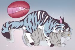 anatomically_correct anatomically_correct_genitalia animal_genitalia animal_penis ass_up bite blue_body blue_fur bodily_fluids cum cum_in_pussy cum_inside cutaway digital_drawing_(artwork) digital_media_(artwork) domestic_cat dominant dominant_feral duo erection fangs felid feline feline_genitalia feline_penis felis female female_penetrated feral feral_on_feral feral_penetrated feral_penetrating feral_penetrating_feral fluffy fluffy_tail from_behind_position fur genital_fluids genitals grey_body grey_fur internal intraspecies male male/female male_penetrating male_penetrating_female mammal mesha_(meshashiba) mounting orgasm paws penetration penile penile_penetration penile_spines penis penis_in_pussy pussy quadruped scruff_bite sex side_view signature simple_background smile striped_body striped_fur stripes tail teeth vaginal_penetration vaginal_penetration whiskers white_body white_fur whitecat