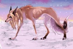absurd_res animal_genitalia blonde_hair blue_eyes brown_nose canid canine clothed clothing cloud day emaciated feral fully_sheathed fur genitals hair hi_res leg_tuft male mammal mouth_closed msdeadsoul orange_body orange_fur outside sheath side_view sky snow snowing solo tuft white_body white_fur