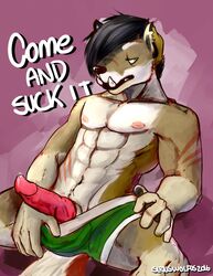 2017 anthro canine clothing erection fur iron_artist male male_only mammal muscular nipples nude penis simple_background solo