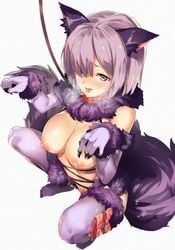 animal_ears blush breasts breath claws collar elbow_gloves fate/grand_order fate_(series) female fur_trim furisuku gloves hair_over_one_eye halloween_costume heart heart-shaped_pupils highres large_breasts leash looking_at_viewer mash_kyrielight mash_kyrielight_(dangerous_beast) nipples no_bra open_mouth petplay purple_eyes purple_hair shielder_(fate/grand_order) short_hair solo squatting sweat symbol-shaped_pupils tail tears thighhighs white_background wolf_costume wolf_ears wolf_tail