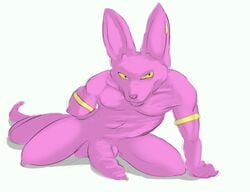 anthro armpits beerus boner dragon_ball dragon_ball_super erection feline grandschemetheme jewelry male male_only mammal nude penis presenting simple_background slim smile solo white_background