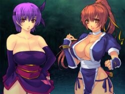 2girls ayane_(doa) big_breasts breasts brown_eyes brown_hair cleavage curvaceous dead_or_alive female forest kasumi_(doa) large_breasts long_hair looking_at_viewer no_bra no_panties no_underwear ponytail purple_hair red_eyes revealing_clothes short_hair tagme tecmo yoko_jyusuke