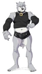 2016 anthro belly black_clothing black_eyes black_nose canine clothed clothing collar erection fur grey_fur hi_res male male_only mammal simple_background solo standing tight_clothing toomanyboners white_background wolf wolfalon