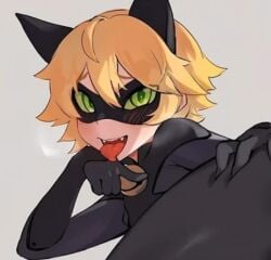 adrien_agreste cat_noir green_hair miraculous miraculous_ladybug tagme