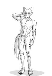 1boy accurate_art_style beastars canine diphallism ffog flaccid furry humanoid_penis legoshi_(beastars) tagme