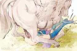 animal_penis blue_boots boots butterchalk commentary english_commentary female fire_emblem fire_emblem:_the_blazing_blade florina_(fire_emblem) highres horse horse_penis huey_(fire_emblem) lying mating_press missionary on_back outdoors penis sex uncensored vaginal_penetration zoophilia