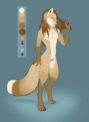 anthro canine female flat_chested fox looking_at_viewer mammal model_sheet nipples nude pussy sindaj solo standing