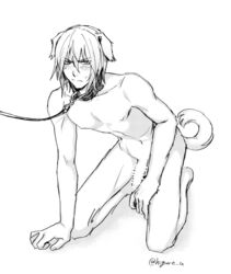 1boy animal_ears blush collar dash10 eizen_(tales) erection leash male_only monochrome nude penis solo tail tales_of_(series) tales_of_berseria