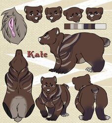 anus bear clitoris female feral fur mammal model_sheet overweight pussy racerdragon solo standing