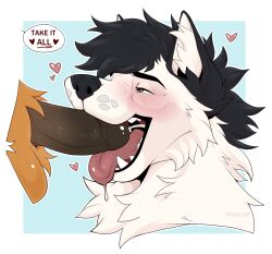 absurd_res anthro balls black_akerra blackakerra blush bodily_fluids canid canine command cum cum_in_mouth cum_inside drinking drinking_cum fluffy fox fur furball_noah genital_fluids genitals heart_symbol hi_res male male/male mammal oral penis snowfox swallowing tongue tongue_out white_body white_fur