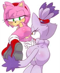 amy_rose anus ass blaze_the_cat cum exposed_torso footwear handwear hecticarts humanoid pussy sonic_(series) transparent_background yuri