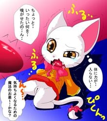 brown_eyes charle clitoris crying disembodied_penis exceed fairy_tail feline feline female fur imminent_rape imminent_sex japanese_text long_tail male mammal penis pussy ribbons shaking tail_ribbon tears text trembling white_fur whitecat-blackcat