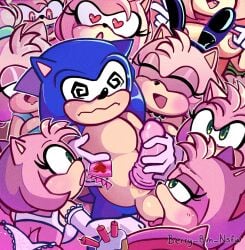 amy rose from sega by berry bun