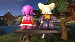 2017 3d 3d_model amy_rose anthro anus ass bat darksorm duo female furry hedgehog huge_butt mammal mobian mobian_(species) mobian_bat pussy rouge_the_bat sega sitting sonic_(series) sonic_adventure_2 sonic_the_hedgehog_(series)