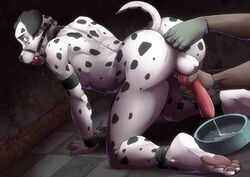 all_fours anal anal_fingering animal_genitalia animal_penis anthro ass ball_gag balls blue_eyes bondage bound bowl canine canine_penis clothing cum cum_in_bowl dalmatian disembodied_hand fingering gag gagged gloves hi_res inside looking_back lube male male_only mammal paws penis penis_milking saliva spots timtam twinkle-sez