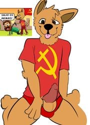 animal_genitalia animal_penis banner brown_eyes brown_fur canine canine_penis collar communism crouching desenhista_que_pensa fur furry happy leash male mammal open_mouth penis pink_tongue politics portuguese_text presenting red_shirt source_request tongue tongue_out unknown_artist white_background