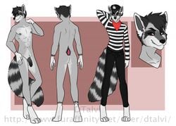 abs anthro clothed clothing dtalvi flaccid humanoid_penis male mammal model_sheet nipples nude penis raccoon solo standing