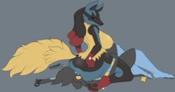 lucario from nintendo by asaneman