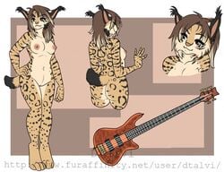 anthro breasts dtalvi feline female guitar lynx mammal model_sheet musical_instrument nipples nude pussy smile solo standing