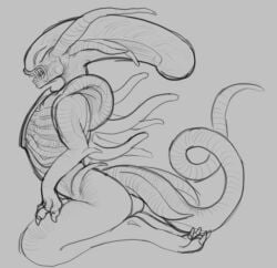 alien_(franchise) ambiguous_gender ass coryhen_(artist) flat_chest on_knees tagme tail tendrils xenomorph
