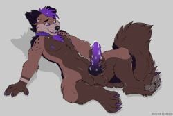 animal_genitalia anthro balls bodily_fluids brown_body brown_fur canid canine canine_genitalia canis claws collar domestic_dog dripping fluffy fluffy_tail fur genital_fluids genitals german_shepherd hair herding_dog holding_penis knot lying male mammal masturbation michikitten on_back pastoral_dog pawpads paws penis precum precum_drip purple_hair purple_penis rydgedshep_(character) smile solo tail