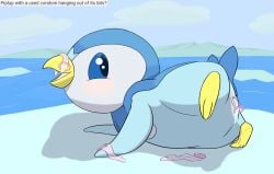 after_sex animal_genitalia avian bird cap'n cloaca condom condom_in_cloaca condom_in_pussy female feral filled_condom generation_4_pokemon genitals hi_res nintendo penguin piplup pokemon pokemon_(species) sexual_barrier_device solo