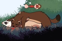 3:2 absurd_res anatomically_correct anatomically_correct_feet anatomically_correct_genitalia anatomically_correct_vulva animal_genitalia animal_penis bite bite_mark_on_neck biting_another blood bodily_fluids breath brown_body brown_fur brown_nose cervical_penetration closed_eyes cum cum_inside cum_while_penetrated dipstick_tail dirt domestic_ferret dominant duo ejaculation female feral fur genital_fluids genitals grass hi_res impregnation internal internal_vaginal interspecies interspecies_domination interspecies_impregnation male male/female mammal markings mustelid mustelid_penis mustelid_vulva musteline nature nature_background nonbinary_(lore) open_mouth panting pawpads penetration penis pink_nose plant round_ears scratches scratching shrub stoat tail tail_markings tan_body tan_fur teeth thespackster tongue tongue_out true_musteline vulva weasel