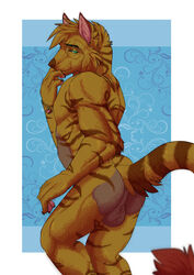 anthro balls canine fur hair l-i-t-t-l-e_f-i-r-e looking_at_viewer male male_only mammal nude solo stripes