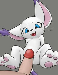 anthro blue_eyes colored digimon feline female fur gatomon grey_background human male mammal pawpads penis simple_background solo_focus straight vulapa white_fur worried