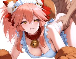 tamamo cat from fate (series) by ayakonarts