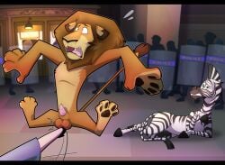 alakay_alex anatomically_correct anatomically_correct_genitalia animal_genitalia animal_penis anthro ballbusting balls black_balls black_bars black_sheath black_stripes blurred_background clenched_teeth cock_and_ball_torture comical dreamworks dreamworks_animation dreamworks_pictures duo_focus ears_down equid equine erection faceless_character feet felid feline_genitalia feline_penis female feral front_view fully_sheathed fur genital_torture genitals group hi_res hooves human jumping kick kicking_balls lion lying madagascar_(film) madagascar_(series) male mammal mane marty_the_zebra movie_reference narrowed_eyes nude on_ground on_side open_mouth pacific_data_images pain pantherine pawpads penile_spines penis pivoted_ears police public raised_tail reddened_scrotum riot_shield screaming sheath spread_arms spread_legs spreading striped_body stripes subway_station surrounded tail tail_tuft teeth tongue tuft white_body wide_eyed yiffy1234 zebra