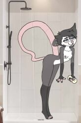 1girls 2d_animation animated anthro autotailsex female female_only furry jamesopossum janeopossum masturbation opossum shorter_than_10_seconds shower solo solo_female solo_focus stomach_bulge tagme tail tail_fetish tail_fucking tail_in_ass tail_insertion tail_sex video