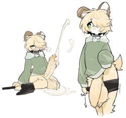 anthro balls big_balls big_penis blonde_hair blush bodily_fluids bottomwear brown_body brown_fur canid canine canis clothing collar cum cum_pool domestic_dog ejaculation erection femboy flaccid fur genital_fluids genitals green_eyes hair hair_over_eye hi_res hoodie male mammal masturbation multicolored_body multicolored_fur penis shiyaa_stuff short_hair short_tail shorts solo tail topwear undressing white_body white_fur yellow_body yellow_fur