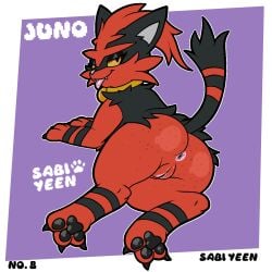 1:1 anus ass black_eyelids collar collar_only digital_media_(artwork) english_text feet female feral freckled_butt freckles fur generation_7_pokemon genitals grey_body grey_fur half-closed_eyes hi_res looking_at_viewer makeup narrowed_eyes nintendo nude pokemon pokemon_(species) presenting presenting_anus presenting_hindquarters presenting_pawpads presenting_vulva raised_tail red_body red_fur seductive simple_background smile solo spread_toes tail text toes tongue tongue_out torracat vulva woofington_gator yellow_eyes