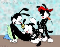 animaniacs anthro cum dot_warner fellatio female flower fur incest male oral oral_sex stefanescu straight unknown_species wakko_warner yakko_warner