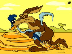 anthro bird blackberry_dragon brown_fur canine coyote day fur furry furry_only looney_tunes male male_only mammal multiple_males no_humans nude outdoors protagonistsub_antagonistdom road_runner_(looney_tunes) roadrunner rock sex side_view soft_feathers wile_e._coyote yaoi