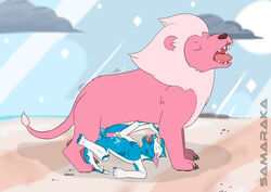 anal anal_sex anthro anthro_on_feral balls beach big_dom_small_sub cartoon_network closed_eyes duo erection feline feral flat_colors gay humanoid_penis lion lion_(steven_universe) looking_pleasured lunarkin lying male/male male_only mammal mane on_back open_mouth penetration penis samaraka scalie seaside sharp_teeth signature size_difference spread_legs spreading steven_universe teeth tongue tongue_out zoophilia