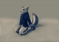 animal_genitalia balls canine clothed clothing fur hoodie invalid_tag kneeling male male_only mammal partially_clothed sheath solo tygrysiolowek white_fur wolf